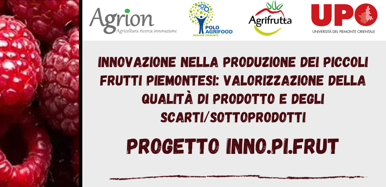 Innovazione nella produzione dei piccoli frutti piemontesi: valorizzazione della qualit? di prodotto e degli scarti/sottoprodotti